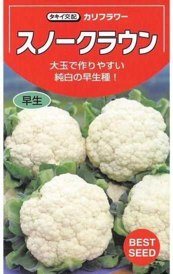 カリフラワーの種【スノークラウン】〔F1〕 - 種の専門店 松尾農園 オンラインショップ