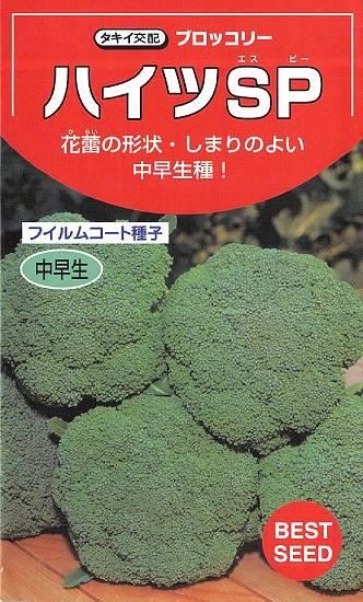 ブロッコリーの種 ハイツsp F1 種の専門店 松尾農園 オンラインショップ