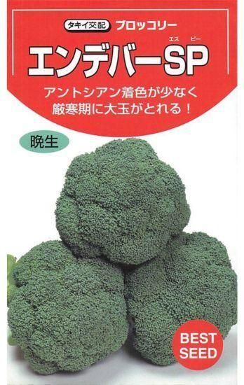ブロッコリーの種【エンデバーSP】〔F1〕 - 種の専門店 松尾農園