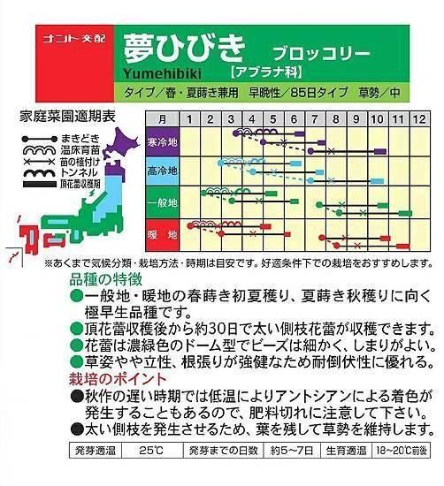 ブロッコリーの種【夢ひびき（セカンドーム型おかわりくん
