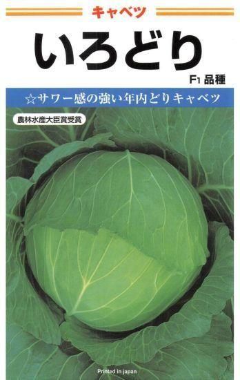 キャベツの種 いろどり F1 種の専門店 松尾農園 オンラインショップ
