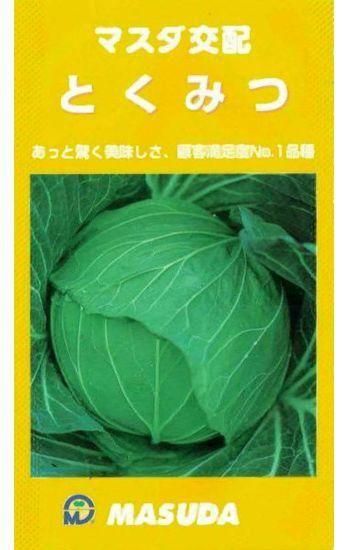 MASUDA とくみつ キャベツの種 3000粒 キャベツの種【とくみつ】〔F1〕 - 種の専門店 松尾農園