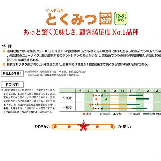 MASUDA とくみつ キャベツの種 3000粒 楽天市場】増田採種場 マスダ交配 キャベツ とくみつ ［内容量