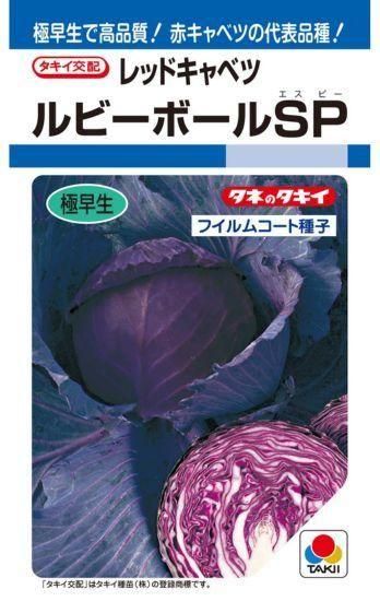 赤キャベツの種 ルビーレッドsp F1 種の専門店 松尾農園 オンラインショップ 赤キャベツの種 ルビーレッドsp F1 種の専門店 松尾農園 オンラインショップ