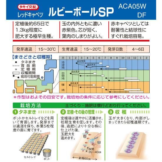 赤キャベツの種 ルビーレッドsp F1 種の専門店 松尾農園 オンラインショップ 赤キャベツの種 ルビーレッドsp F1 種の専門店 松尾農園 オンラインショップ