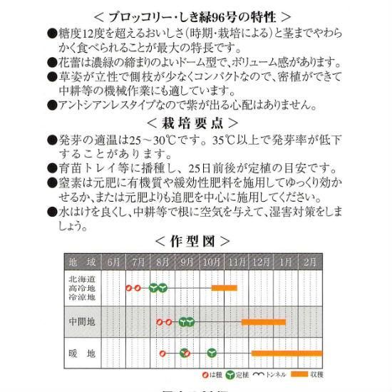 コート種子 盛緑180 L5(5000粒) ブロッコリー（ブロッコリーの種