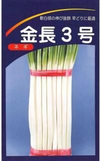 ͥμڶĹ3̸ۡ