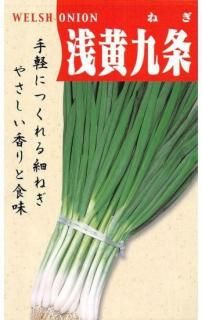 ͥμڶ١ˡ̸ۡ ̵