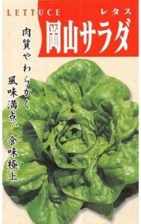 ڤμڲڡ̸ۡ ̵