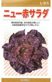 ڤμڥ˥塼֥ڡ̸ۡ ̵ 