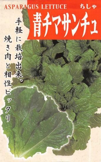 リーフレタスの種 チマサンチュ 青葉 固定種 種の専門店 松尾農園 オンラインショップ