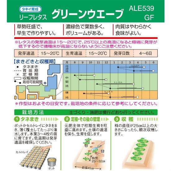 リーフレタスの種 グリーンウエーブ 固定種 種の専門店 松尾農園 オンラインショップ