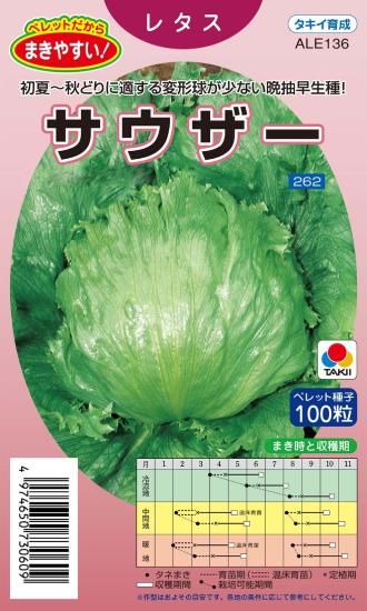 玉レタスの種 サウザー 固定種 種の専門店 松尾農園 オンラインショップ