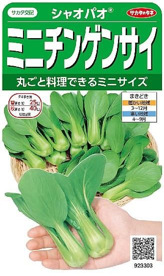 ミニチンゲンサイの種 シャオパオ F1 種の専門店 松尾農園 オンラインショップ ミニチンゲンサイの種 シャオパオ F1 種の専門店 松尾農園 オンラインショップ