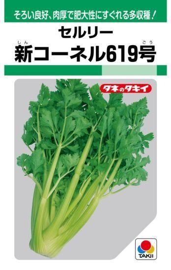 セロリの種 新コーネル619号 固定種 種の専門店 松尾農園 オンラインショップ セロリの種 新コーネル619号 固定種 種の専門店 松尾農園 オンラインショップ