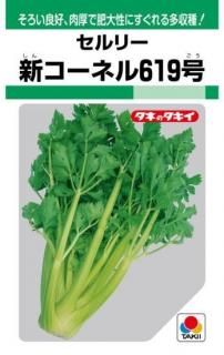 μڿͥ619̸ۡ ̵