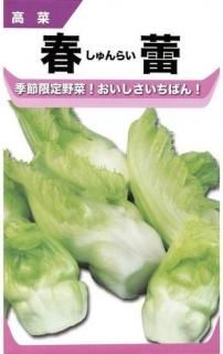 һʤμڽ鲡̸ۡ ̵
