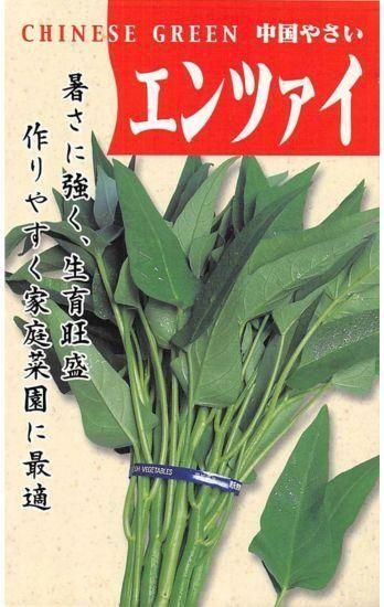 自然栽培！『 空芯菜』1kg(固定種 )無肥料 農薬不使用 淡路島産