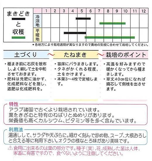 モロヘイヤの種 固定種 種の専門店 松尾農園 オンラインショップ モロヘイヤの種 固定種 種の専門店 松尾農園 オンラインショップ