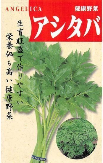 アシタバの種 固定種 種の専門店 松尾農園 オンラインショップ
