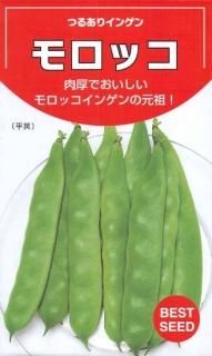 䥤󥲥μڥå̸ۡ ̵ 