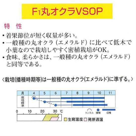 オクラの種 Vsop F1 種の専門店 松尾農園 オンラインショップ オクラの種 Vsop F1 種の専門店 松尾農園 オンラインショップ