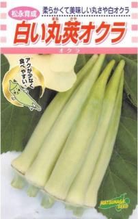 オクラ〔固定種〕 - 種の専門店 松尾農園 オンラインショップ