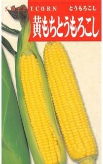 ȥμڲȥ̸ۡ ̵ 