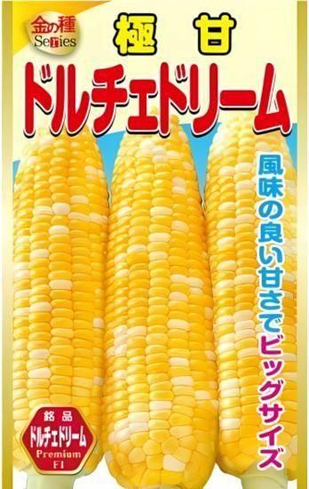 トウモロコシの種【ドルチェドリーム】〔F1〕 - 種の専門店 松尾 トウモロコシの種【ドルチェドリーム】〔F1〕 - 種の専門店 松尾