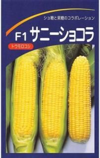 ȥμڥˡ祳ۡF1