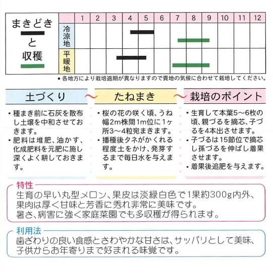 マクワウリの種 ニューメロン 固定種 種の専門店 松尾農園 オンラインショップ