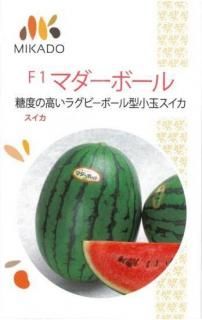 ̥μڥޥܡۡF1
