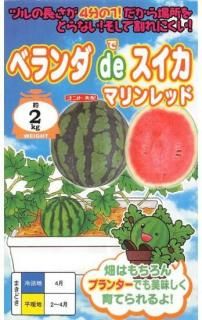 ̥μڥ٥ de ʥޥåɡˡۡF1 ̵ 