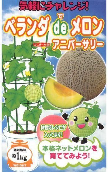 メロンページです。 メロンの種【ベランダ de メロン（アニバーサリー）】〔F1〕 - 種の