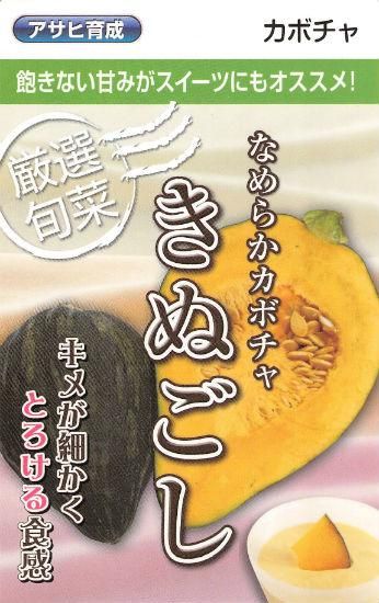 カボチャの種 きぬごし 固定種 種の専門店 松尾農園 オンラインショップ カボチャの種 きぬごし 固定種 種の専門店 松尾農園 オンラインショップ