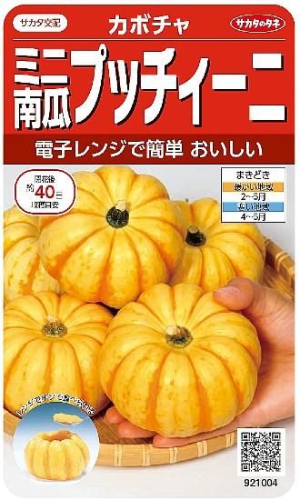 ミニカボチャの種【プッチィーニ】〔F1〕 - 種の専門店 松尾農園