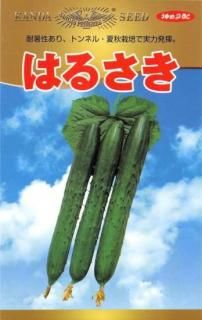 奦μڤϤ뤵ۡF1 ̵ǡʴǮ 