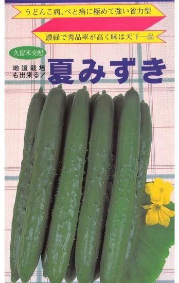キュウリの種 夏みずき F1 種の専門店 松尾農園 オンラインショップ