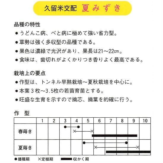 キュウリの種 夏みずき F1 種の専門店 松尾農園 オンラインショップ キュウリの種 夏みずき F1 種の専門店 松尾農園 オンラインショップ