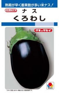 ʥμڤ路ۡF1