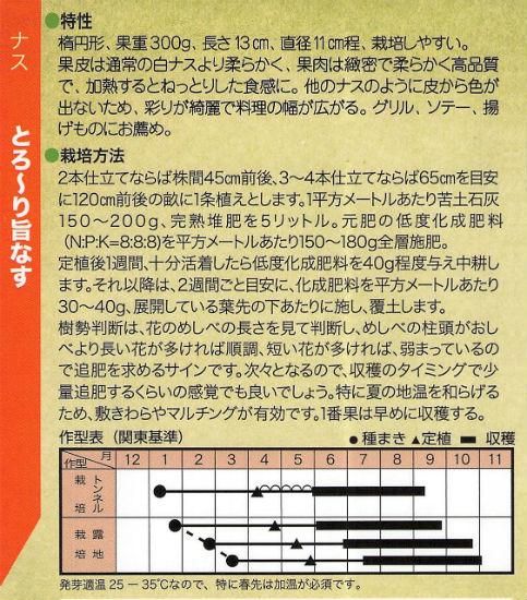 白ナスの種 とろーり旨なす 旧名 揚げてトルコ F1 種の専門店 松尾農園 オンラインショップ