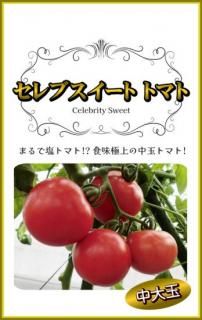 ̥ȥޥȤμڥ֥ȥȥޥȡۡF1 ̵<img class='new_mark_img2' src='https://img.shop-pro.jp/img/new/icons25.gif' style='border:none;display:inline;margin:0px;padding:0px;width:auto;' />
