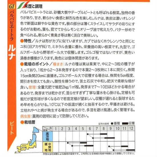 ビーツの種 ルナ 固定種 種の専門店 松尾農園 オンラインショップ ビーツの種 ルナ 固定種 種の専門店 松尾農園 オンラインショップ