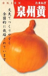ޥͥμ̸ۡ ̵