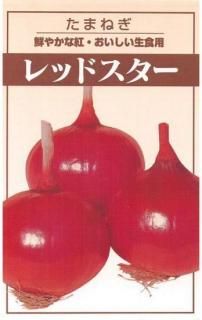֥ޥͥμڥåɥ̸ۡ ̵