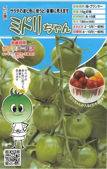 ミニトマトの種【ミドリちゃん】〔F1〕 - 種の専門店 松尾農園
