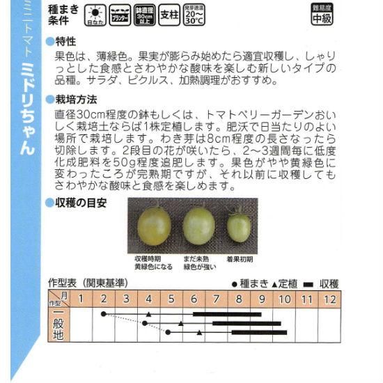 ミニトマトの種【ミドリちゃん】〔F1〕 - 種の専門店 松尾農園