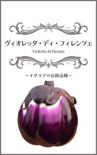 ꥢʥμڥåǥեĥVioletta di Firenzeˡ̸ۡ ̵