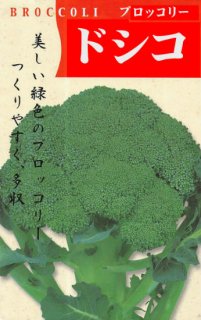 ブロッコリーの種【ドシコ】〔固定種〕 - 種の専門店 松尾農園 オンラインショップ