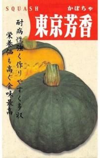 ܥμ˧鷪ˡ̸ۡ ̵Ǣ